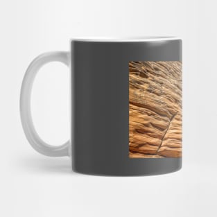 Lick Wash Trail Hike Mug